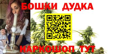 гидра Шахты