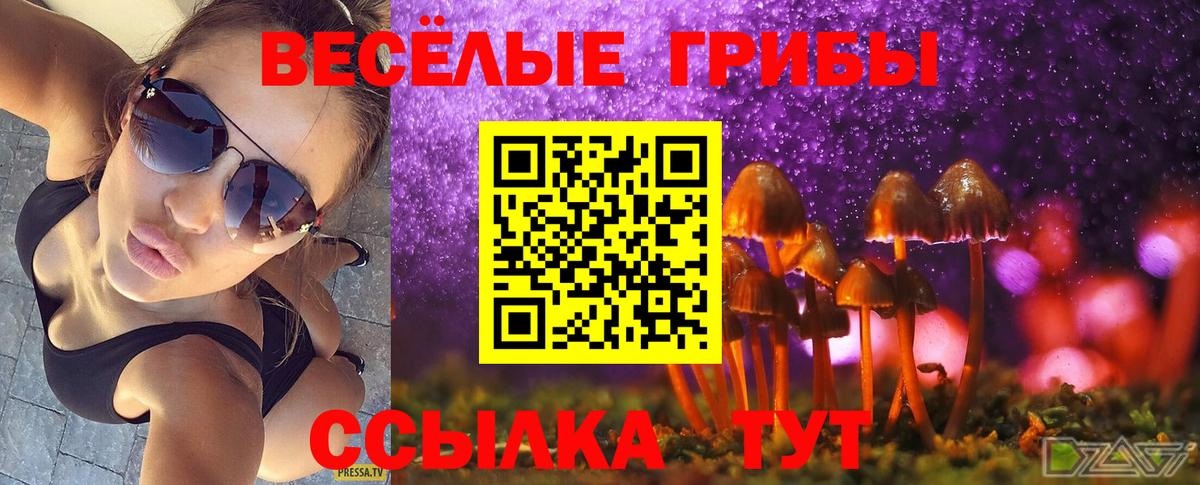 Кыштым  Псилоцибиновые грибы Psilocybine cubensis  цены наркотик  Вход с VPN 
